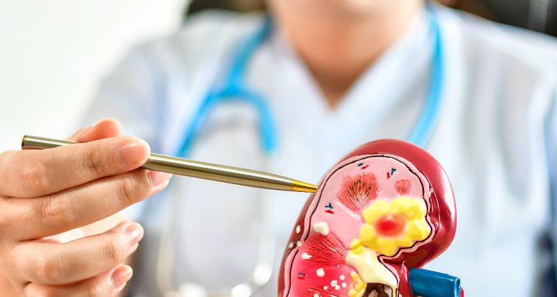 Maestría Cirugía Urológica