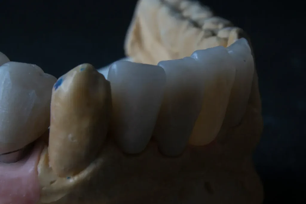 Curso-en-Odontologia-Forense-3