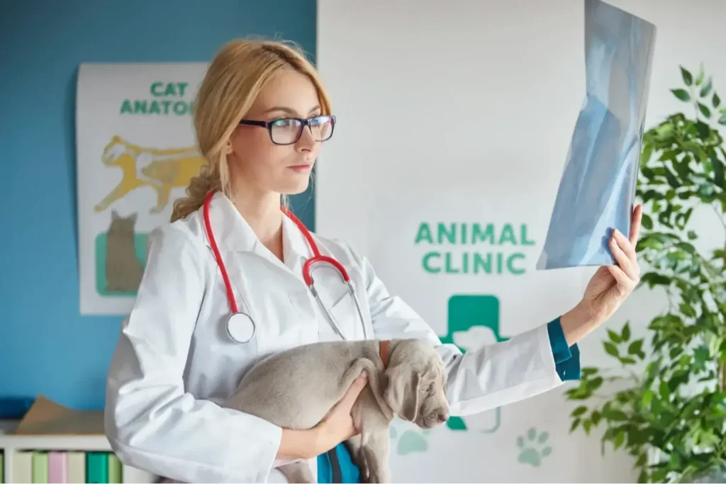 Diplomado-en-Farmacologia-Veterinaria-1
