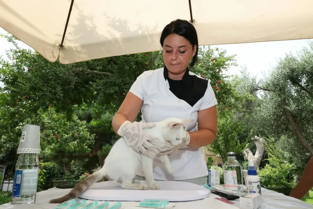 diplomado-en-farmacologia-veterinaria-3