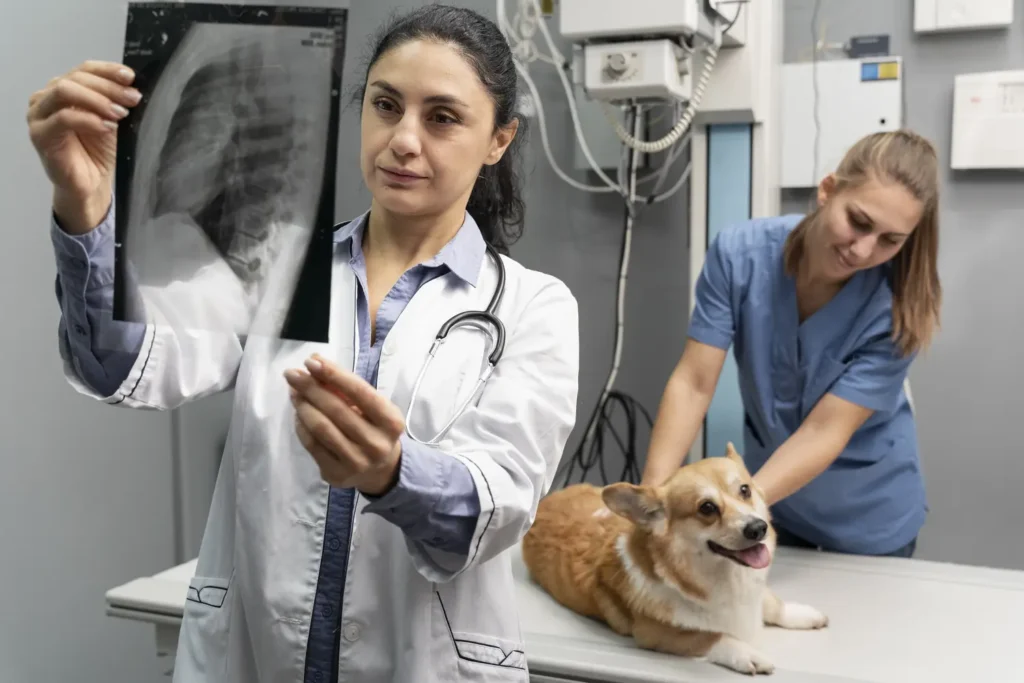 Diplomado en Imagenología Veterinaria Práctica y Teleradiología 3