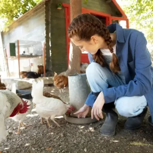 Diplomado en Nutrición Aplicada y Control Metabólico en Pequeños Animales 1