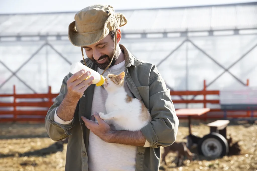 Diplomado en Nutrición Aplicada y Control Metabólico en Pequeños Animales 2