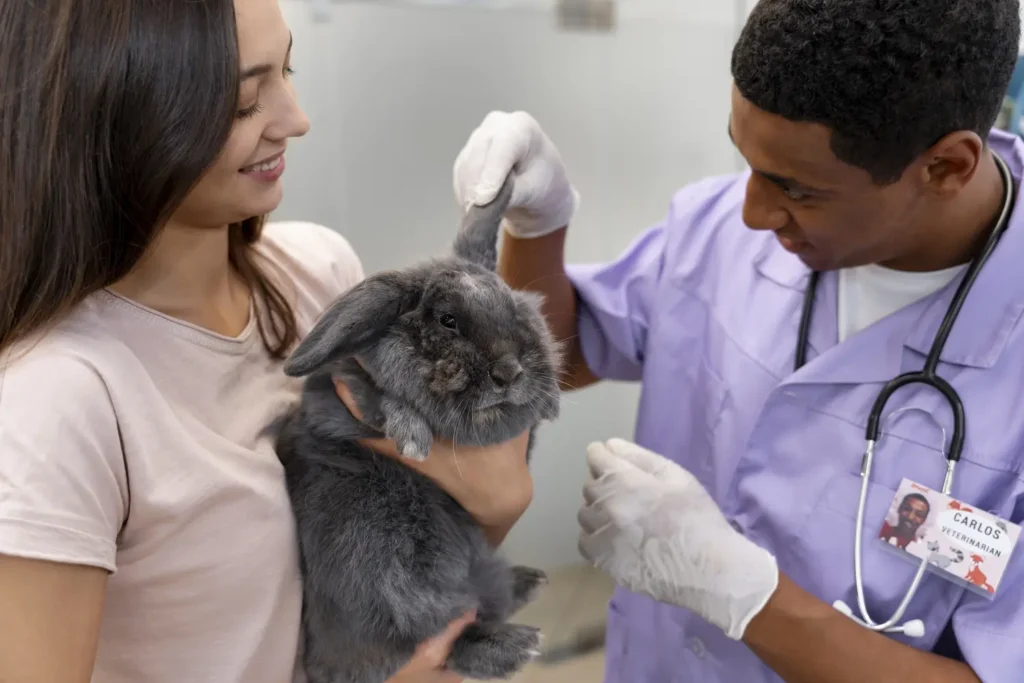 Máster en Diagnóstico por Imagen en Pequeños Animales 2