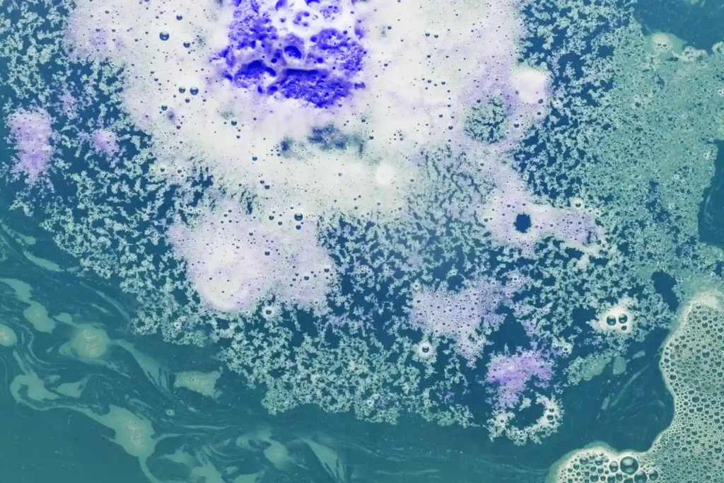 Curso de Monitoreo y Muestreo de Microplásticos en Ecosistemas Acuáticos 3