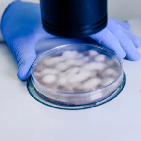 Diplomado en Tecnologías de Mitigación y Tratamiento de Microplásticos 1