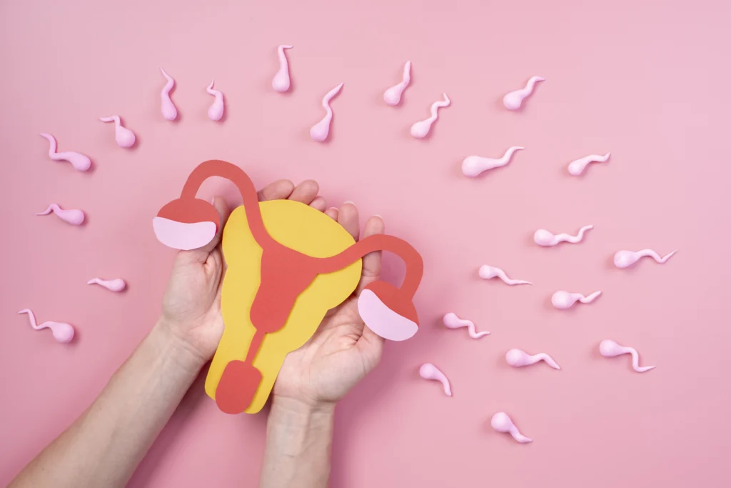 Maestría en Ciclo Menstrual y Endocrinología Reproductiva 2