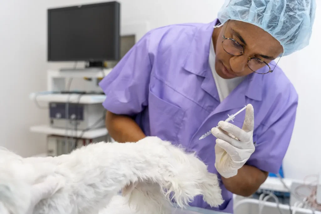 Maestría en Cirugía de Tejidos Blandos y Anestesia en Veterinaria 3