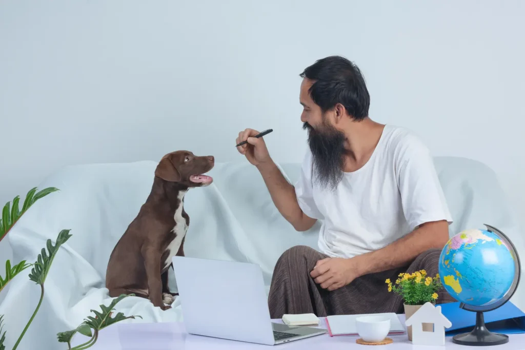 Curso de Derecho Animal 1