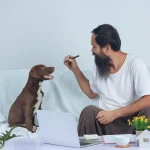 Curso de Derecho Animal 1